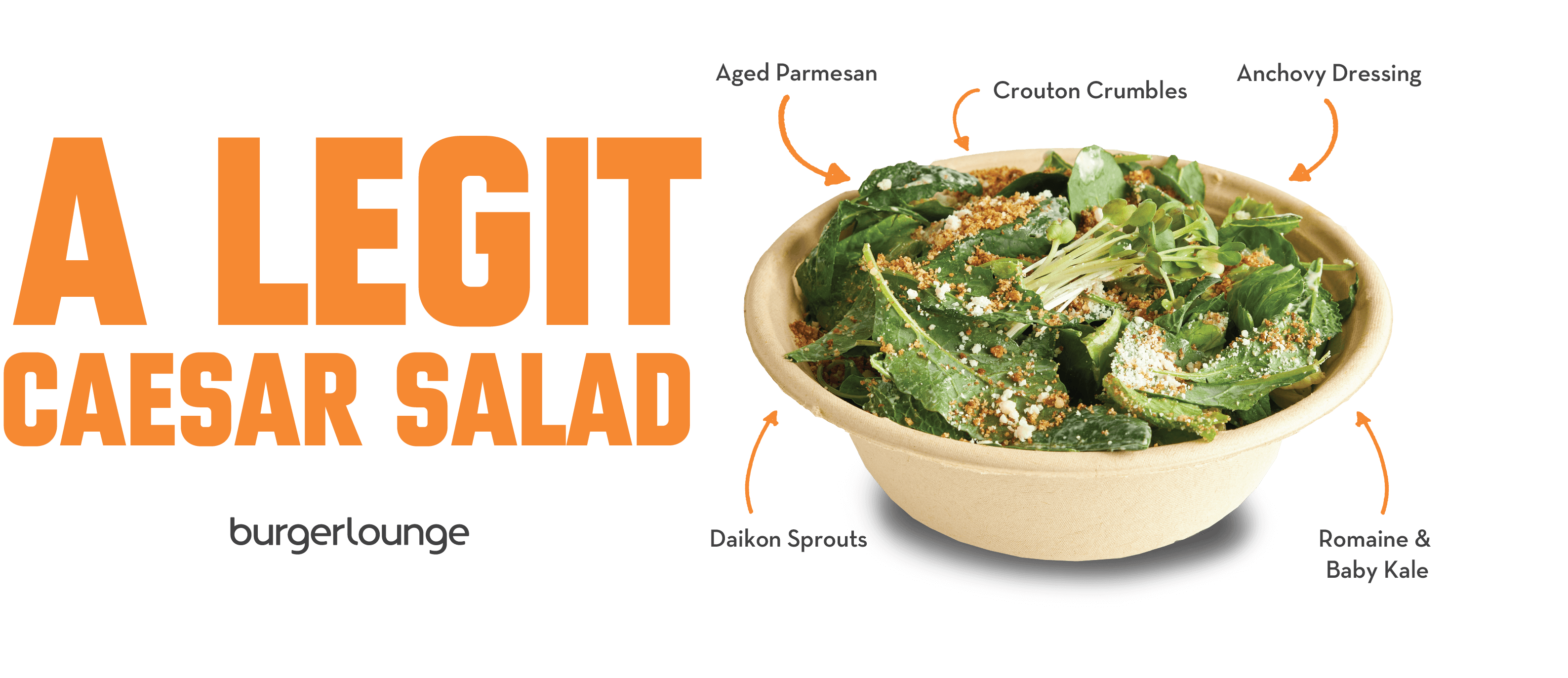 Promotional image of the Burger Lounge Caesar Salad pointing out ingredients on the salad - Desktop Version